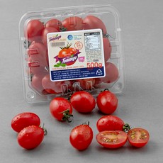 스테비아 토망고 (대추방울), 500g, 1팩