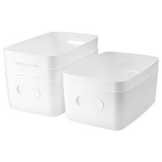 hay엘립스트레이