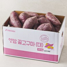 영암 꿀고구마, 10kg(대), 1개 10kg, 1개