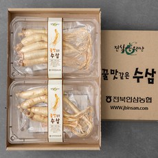 진심에서우러난 꿀맛같은 수삼 4~6뿌리, 300g, 1박스