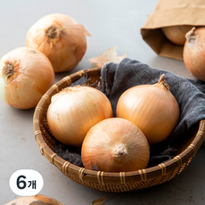 국내산 양파, 3kg, 6개