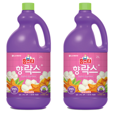 홈스타 향 락스, 2L, 2개 2L, 2개