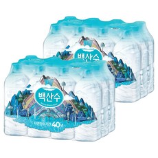 백산수 생수 무라벨, 1L, 24개