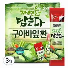 조은약초 자연을 담는다 프리미엄 구아바잎환 스틱, 90g, 3개