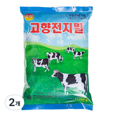 고향 차, 1kg, 2개 - 서울전지분유1kg