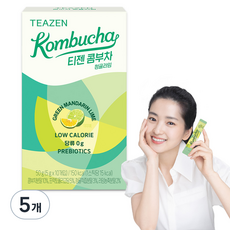 티젠 콤부차 청귤라임, 5g, 10개입, 5개