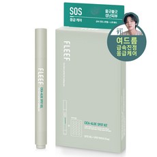 플리프 시카 알로에 스팟패치 51p + 진정 스팟 젤 4.5g, 1세트