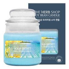더허브샵 소이 캔들 90g, 아쿠아시크릿, 1개
