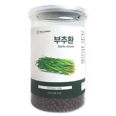 헬로우그린 부추환, 300g, 1개