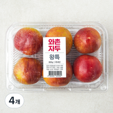 한들 와촌 자두, 4개, 800g(왕특)
