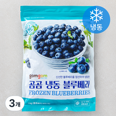 곰곰 냉동 블루베리, 1kg, 3개