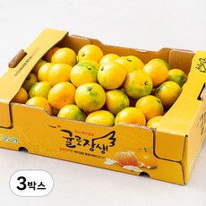 귤로장생 당도선별 10brix 감귤, 3kg(로열과), 3박스