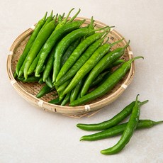 국내산 풋고추, 1kg, 1개