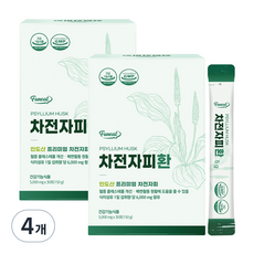 퍼니트 차전자피환 30p, 150g, 4개 150g, 4개