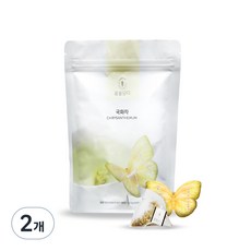 꽃을담다 나비티백 국화꽃차, 500mg, 10개입, 2개