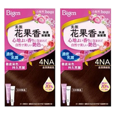 Bigen 美源 花果香快速染髮霜 4NA 自然亮棕色，濃密乳霜，徹底染色，持久亮麗, 4NA自然亮棕色, 2盒