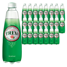 트레비 자몽 탄산음료, 500ml, 24개