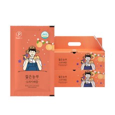 푸릇담 젊은농부 도라지배즙 30p, 3L, 2개