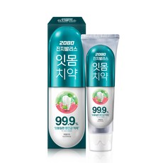 2080 진지발리스 허벌민트 잇몸치약, 150g, 10개