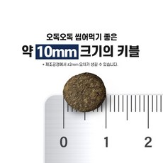 이즈칸 독 그레인프리 퍼포먼스 건식사료, 닭, 15kg, 1개