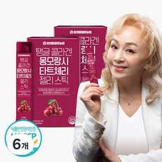 참앤들황토농원 탱글 콜라겐 몽모랑시 타트체리 젤리스틱, 300g, 6개 300g, 6개