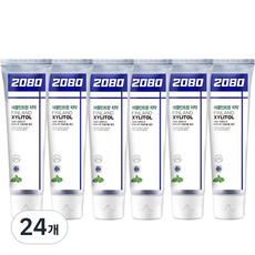 2080 애플민트향 자일리톨 치약, 120g, 24개
