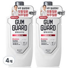 검가드 오리지널 구강세정제, 1.2L, 4개