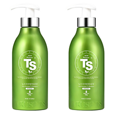 TS 뉴프리미엄 탈모 증상 완화 기능성 샴푸, 500g, 2개 500g, 2개