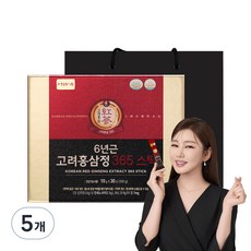 정원삼 6년근 고려홍삼정 365 스틱 30포 선물세트 + 쇼핑백, 300g, 5세트 300g, 5개
