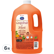 자몽 앤 민트 주방세제, 3L, 6개