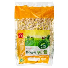 곰곰 아삭한 콩나물, 500g, 1봉 - 이미지 4