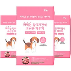 씨엔앨라이프 짜먹는 강아지간식 유산균 파우치 스틱 15g x 20p, 3개, 소고기