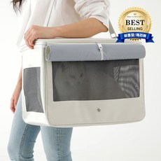 고양이대형이동장-추천-상품