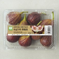 무농약 인증 함평 속살가득 무화과, 1개, 600g