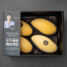 올프레쉬 프리미엄 태국망고 세트, 1.5kg, 1세트