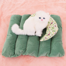 펫샵베개사이트