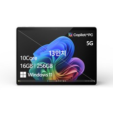 마이크로소프트 2024 서피스 프로 11 스냅드래곤 X 플러스, 플래티넘, 256GB, 16GB, WIN11 Home, ZEJ-00015