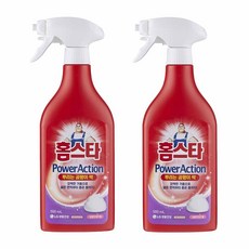 홈스타 파워액션 뿌리는 곰팡이 싹 세정제, 500ml, 2개