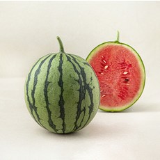 산지직송 아주마 애플수박, 2개입, 1.3kg 미만