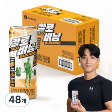 맥널티 칼로버닝 프로틴 스파클링 오렌지, 250ml, 48개