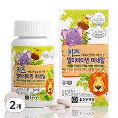 종근당건강 키즈 멀티비타민 미네랄, 60정, 90g, 2개