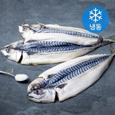 은하수산 노르웨이 간고등어살 400~500g (냉동), 1.5kg(400-500g), 1개