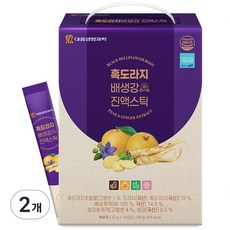 대웅생명과학 흑도라지배생강 진액스틱, 1kg, 2개