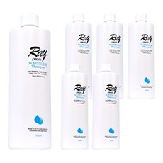 Ray pearls 乾洗髮沐浴露補充罐, 500ml, 6個