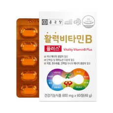 종근당 활력 비타민B 플러스, 60정, 1박스