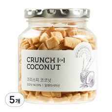 착한습관 코코넛청크, 130g, 5개