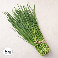 국내산 친환경 부추, 200g, 5개