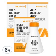 비타민마을 와이즈 멀티비타민 미네랄, 60정, 6개