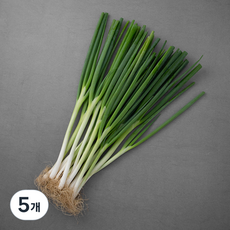 국내산 친환경 흙대파, 800g, 5개