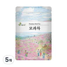 아름드레 삼각티백 모과차, 2g, 25개입, 5개